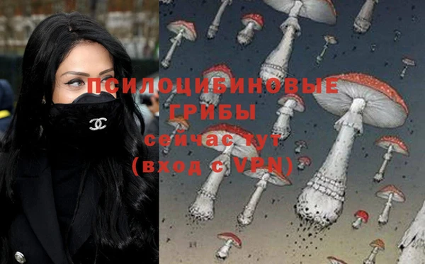 тгк Надым
