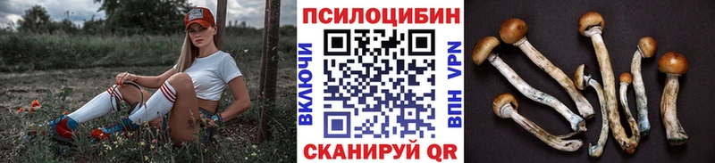 Галлюциногенные грибы Magic Shrooms  наркошоп  Бакал 