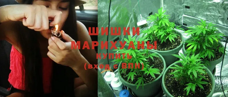 hydra зеркало  Бакал  Шишки марихуана SATIVA & INDICA 